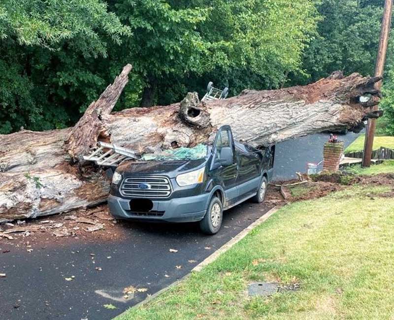 Van Crushed by Old Decaying Tree in Gloucester