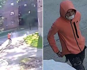 Four shot outside new york city housing complex