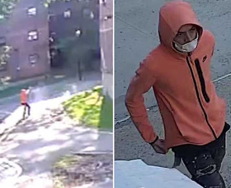 Four shot outside New York City housing complex
