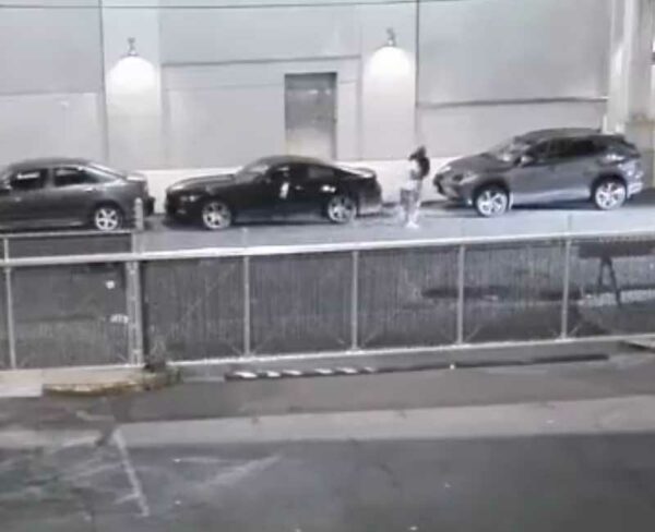Armed Men Posing as DEA Agents Carjack New York City Driver
