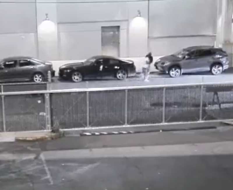 Armed Men Posing as DEA Agents Carjack New York City Driver