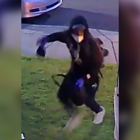 Caught on video: two women robbed at gunpoint by carjacker in philadelphia - photo licensed by shore news network.