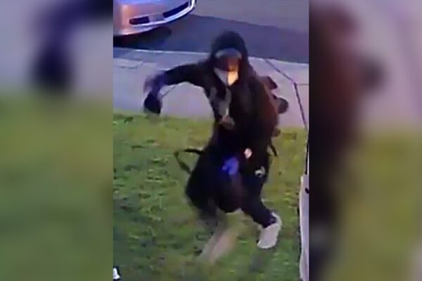 Caught on video: Two women robbed at gunpoint by carjacker in Philadelphia