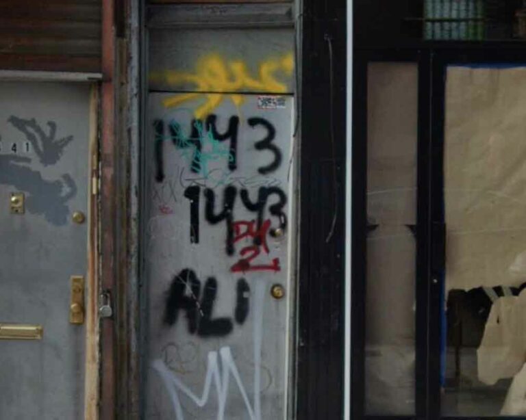 T: On 10/24/22 at approx. 2:10 PM, in front of 1443 Fulton St in Brooklyn, two males engaged in a verbal dispute, then one took out a handgun and began firing, striking a 70-year-old woman in the thigh.