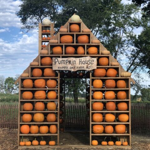 Happy day farm fall harvest festival continues this weekend - photo licensed by shore news network.