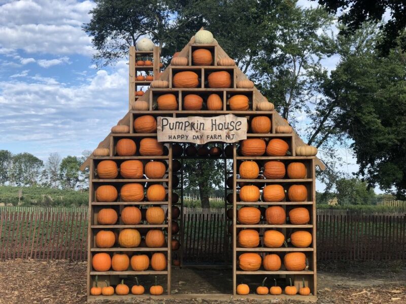 Happy day farm fall harvest festival continues this weekend