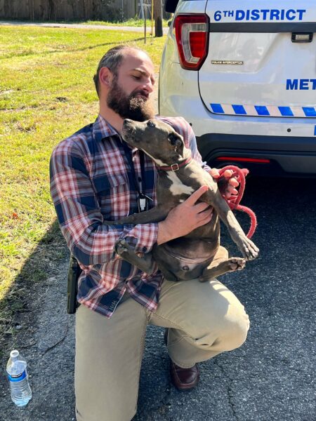 Puppy Stolen In DC Armed Robbery Reunited With Owner