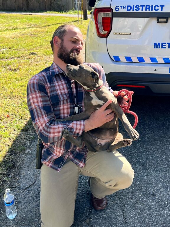 The Washington, D.C. Metro Police Department has announced that the puppy stolen in last week's armed robbery has been found safe and sound.