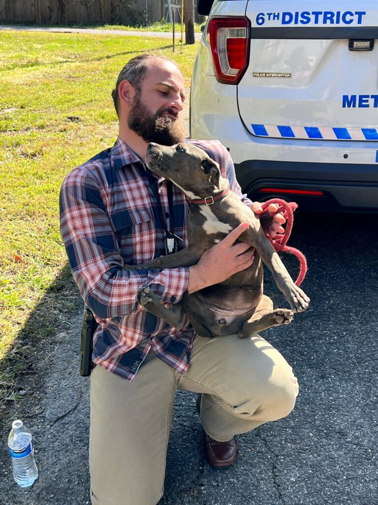 The Washington, D.C. Metro Police Department has announced that the puppy stolen in last week's armed robbery has been found safe and sound.
