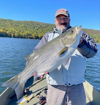 Record-setting hybrid striped bass caught in New Jersey