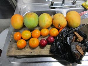 CBP Agriculture Specialists Issue $2,000 in Penalties for Prohibited Food Products at Hidalgo International Bridge