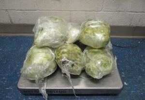 CBP Officers Stop Multiple Hard Narcotic Smuggling Attempts