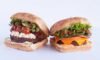 Coolgreens old town debuts new feel good sandwiches