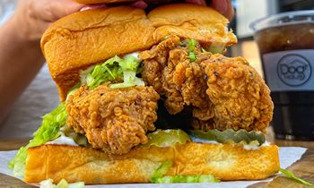 Dog Haus Revamps Menu with New Haus Chicken Creations