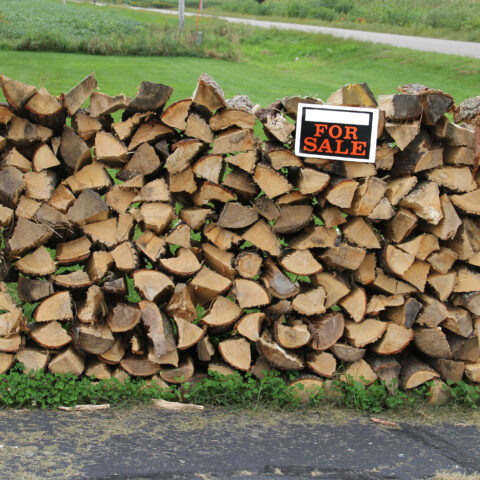 New jersey farmers face ridiculous fines for selling firewood, that could change - photo licensed by shore news network.