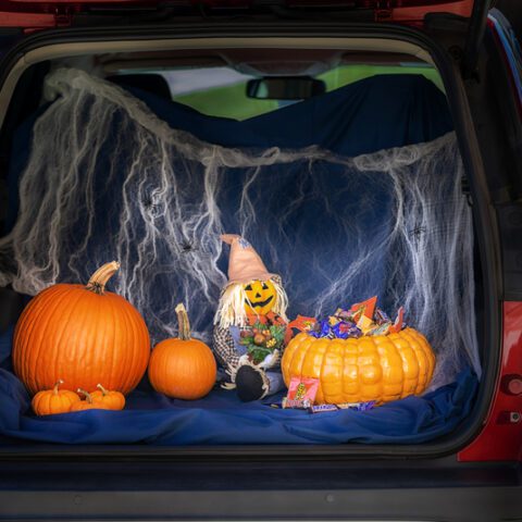 North wildwood hosts annual trunk-or-treat halloween block party - photo licensed by shore news network.