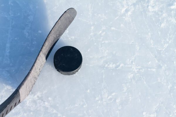 Hamburg woman charged for allegedly stealing $6,000 from youth hockey team