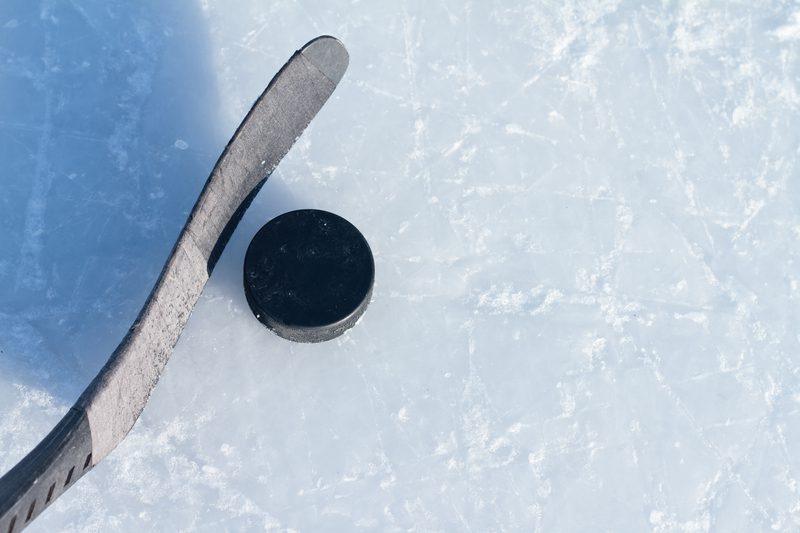 Hamburg woman charged for allegedly stealing $6,000 from youth hockey team