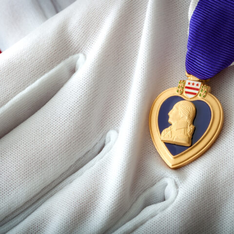 Op-ed: flemming campaign lining wounded veterans parade route with political signs distasteful - photo licensed by shore news network.