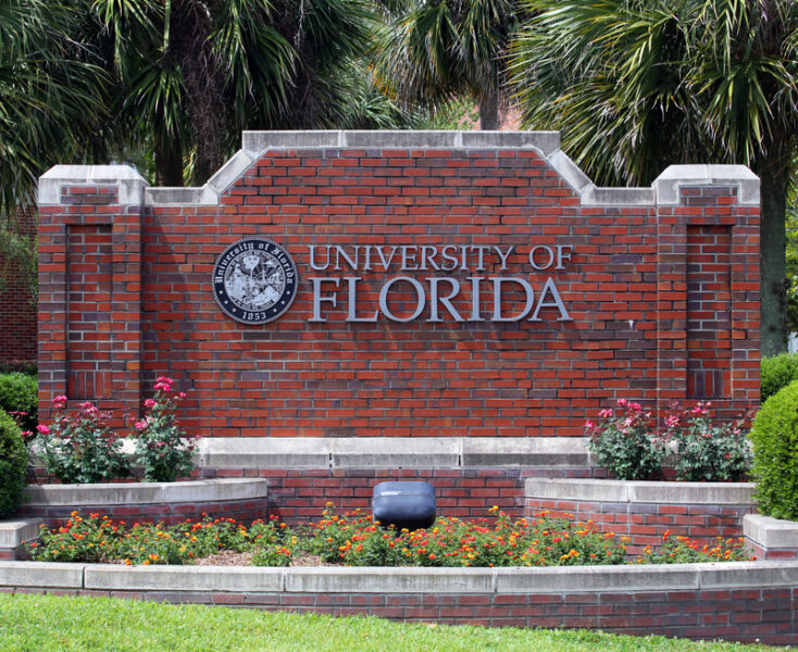 University of florida students melt down over ben sasse considering leadership role