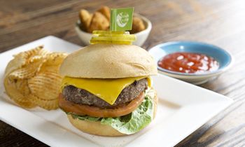 Fast Casual Brand, Tribos Peri Peri, Adds New Franchise Location in New Jersey