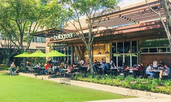 Fast Casual Disrupter bellagreen Acquired by Ampex Brands