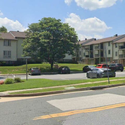 Police investigating murder after man found shot dead in white marsh - photo licensed by shore news network.