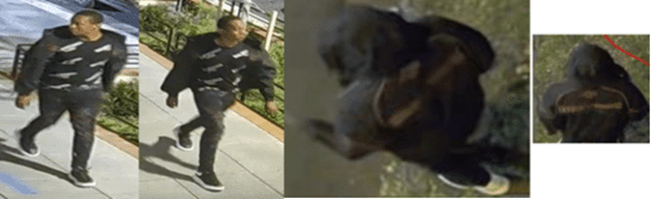 D.C. Police seeking to identify wanted carjacker D.C. Police seeking to identify wanted carjacker