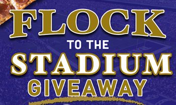 Ledo Pizza Supports Baltimore Ravens Through ‘Flock to the Stadium’ Giveaway