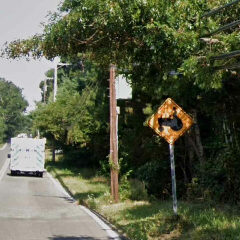 Reina says jackson township will buy leesville road land approved for private school complex - photo licensed by shore news network.