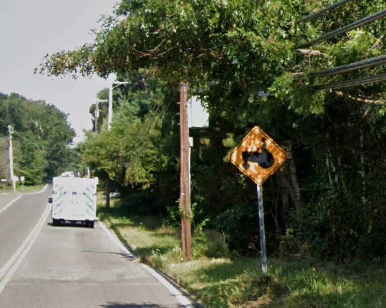 Reina says jackson township will buy leesville road land approved for private school complex - photo licensed by shore news network.