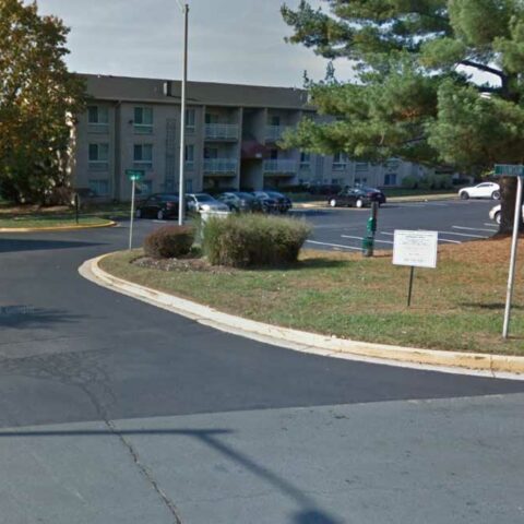 Two dogs, one puppy stolen during armed robbery in laurel - photo licensed by shore news network.