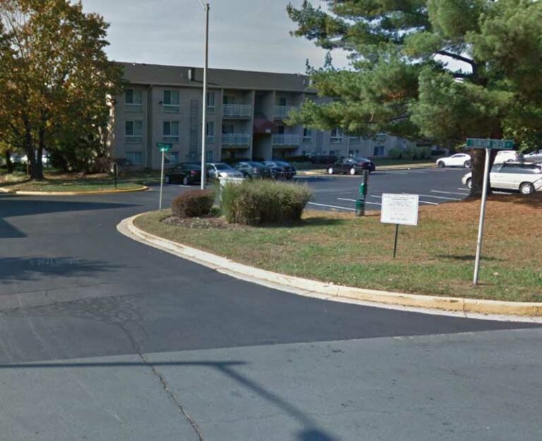 Two dogs, one puppy stolen during armed robbery in laurel - photo licensed by shore news network.