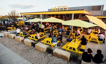 MUTTS Canine Cantina Signs Lease in El Paso, TX in Montecillo Mixed-Use Development