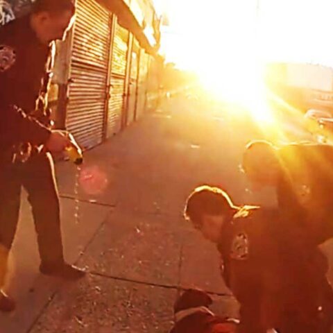 Nyc cop's nose slashed by emotionally disturbed perp - photo licensed by shore news network.