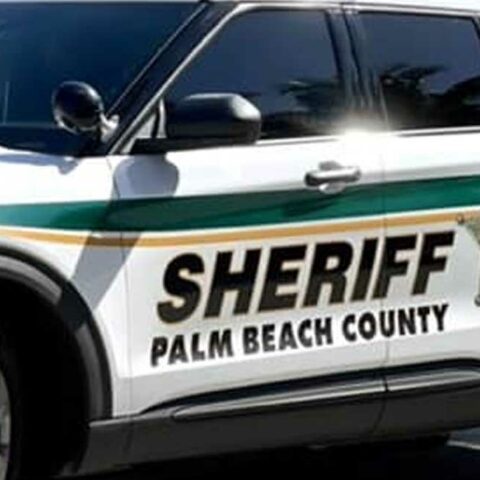 Palm beach deputy shot by another deputy while being attacked by pit bull - photo licensed by shore news network.