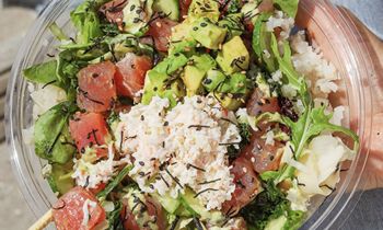 Pokeworks Pledges to Be Cage-Free Through Open Wing Alliance