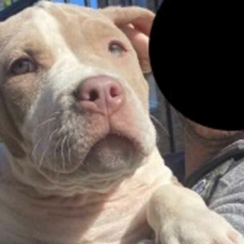 On october 2, 2022, at approximately 9:00 p. M. Officers responded for a report of a robbery that just occurred in the 200 block of ertter drive in laurel. T