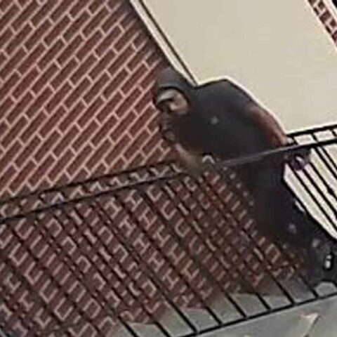 On 10/28 at 5:30 pm, a 7-year-old female was in front of 1321 38th st, when a male individual approached the victim & lured her inside the building.