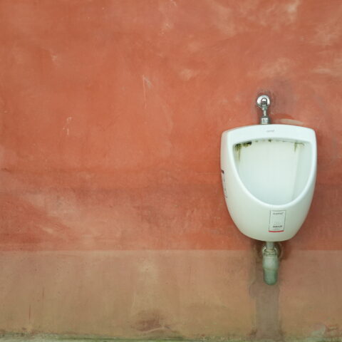 San francisco spends $1. 7 million on a single toilet - photo licensed by shore news network.