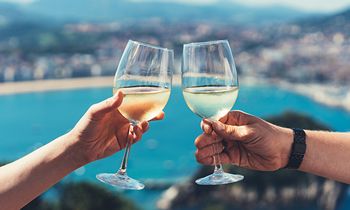 Travelers and Vacation Dollars