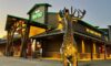 Twin peaks completes successful first quarter, highlighted by new area development and culinary and beverage enhancements