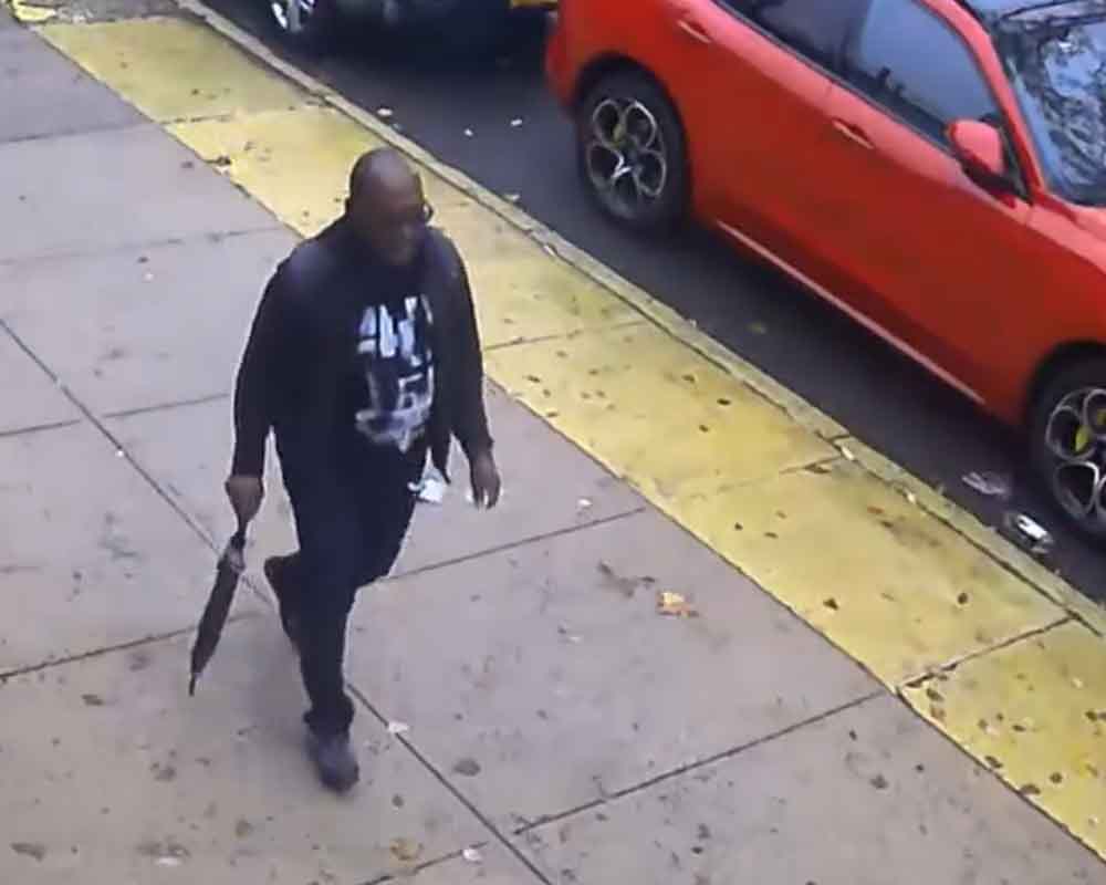 97-year-old woman accosted by umbrella-wielding man who wanted to steal her dog