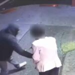 : On 10/16/22 at approx. 6:00 AM, on the corner of Miller Ave and New Lots Ave in Brooklyn, the suspect approached an 82-year-old female and forcibly removed her money, which caused her to fall to the ground.