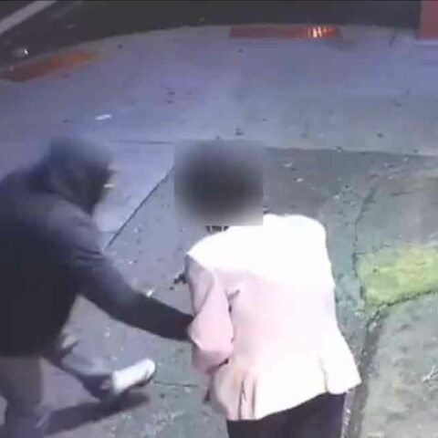 : on 10/16/22 at approx. 6:00 am, on the corner of miller ave and new lots ave in brooklyn, the suspect approached an 82-year-old female and forcibly removed her money, which caused her to fall to the ground.