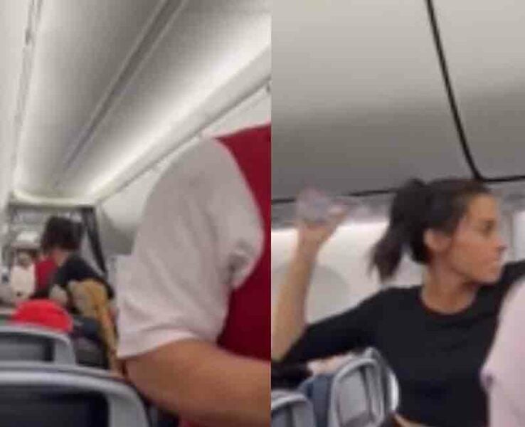 Woman goes off deep end on flight to NYC after being asked to put her dog in carrier