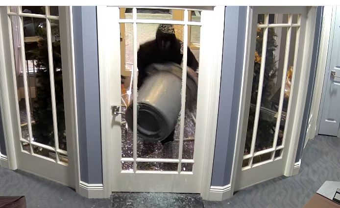 Thieves target Wyckoff jewelry store in latest New Jersey smash and grab