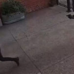 On Monday November 14, 2022, at 7:30 am, the victim, a 32-year-old male, was on the 16xx block of N Hancock Street moving boxes from his office to his vehicle when he was approached by two unknown suspects armed with handguns who ordered the victim to lay on the ground and cover his face.