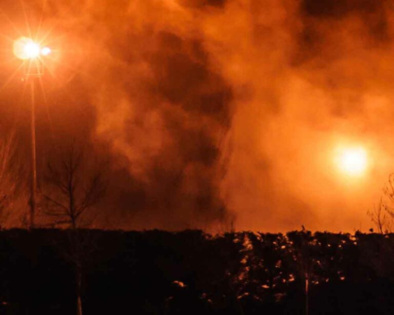 Fire seen beyond the tree line. File photo