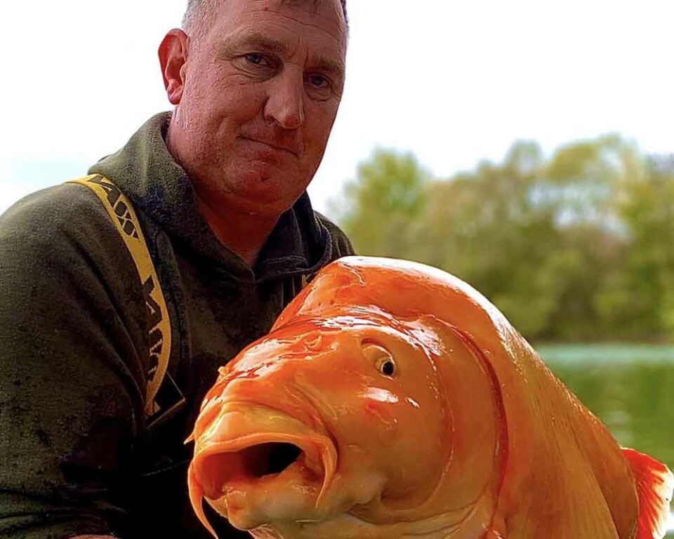 Bluewater Lakes - Photo of 67.4 pound goldfish Carrot.